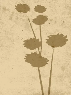 Poster Botania aus hochwertigem Papier