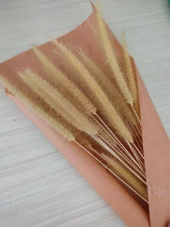 Poster Golden Grain aus hochwertigem Papier