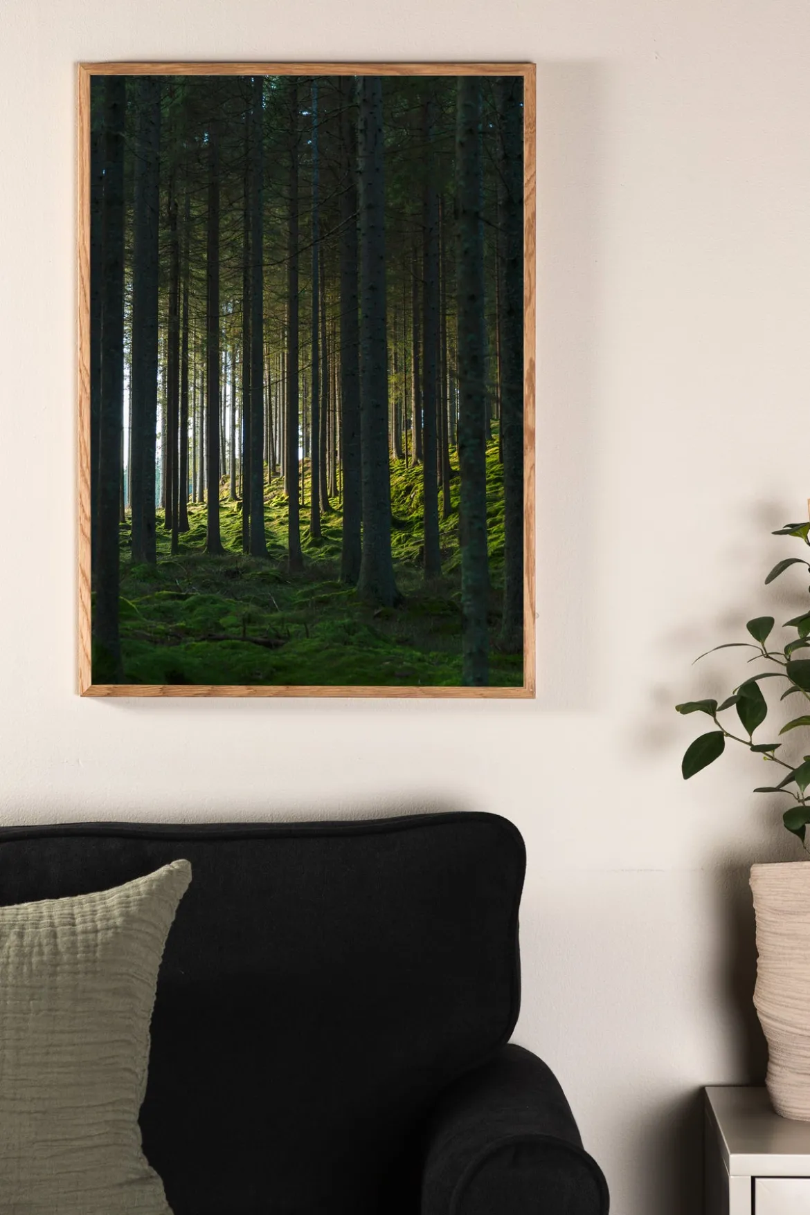 Poster Schwarzwald aus hochwertigem Papier