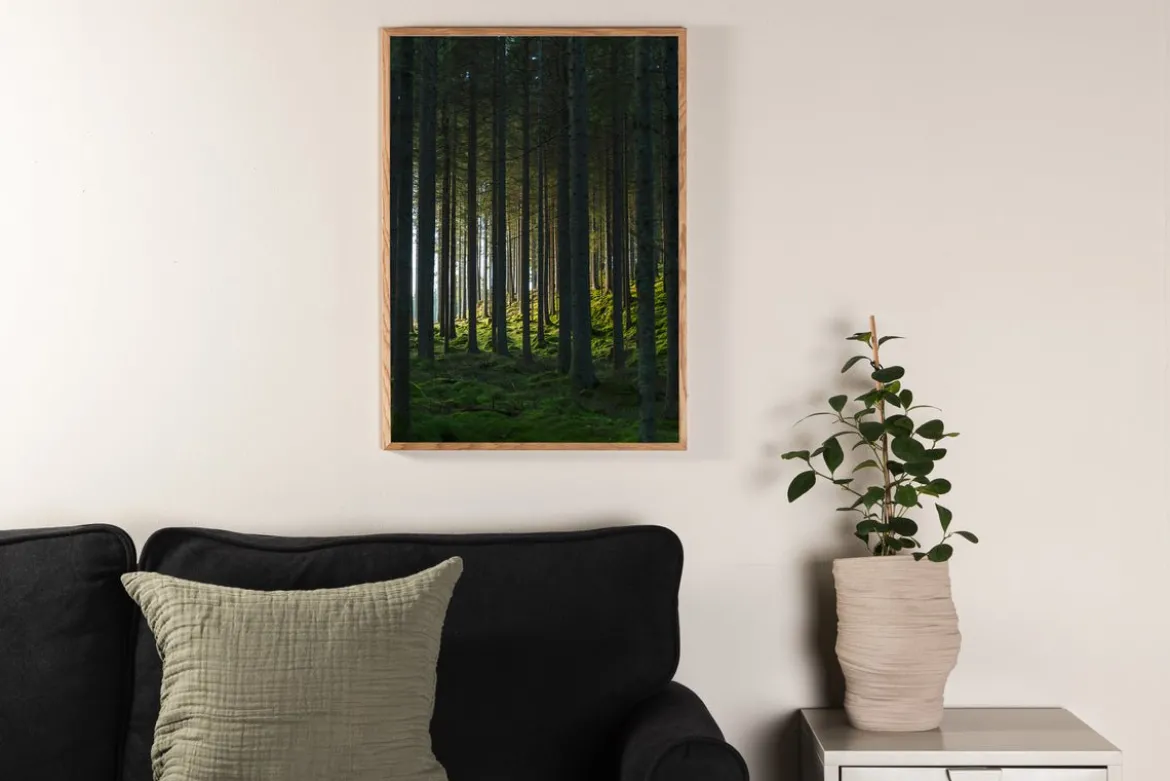 Poster Schwarzwald aus hochwertigem Papier