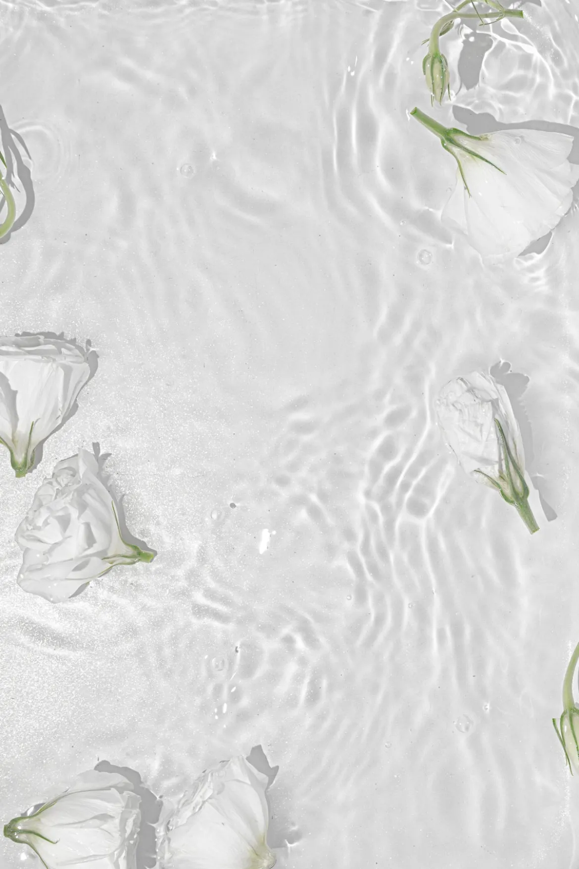 Poster Wasserspiel aus hochwertigem Papier