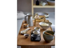 Schüssel-Set Sushi Morimoto – 5er Set aus Steingut