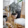 Vase "Nature Hippster" - braune Terrakottavase