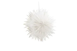 Weihnachtliche Deckenleuchte Lyra - ⌀ 35 cm in Weiß & Braun